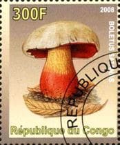 A gomba bélyegen