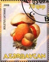 A gomba bélyegen
