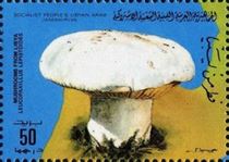 A gomba bélyegen